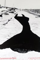 BERNER KÜNSTLER UND DIE FOTOGRAFIE, Mit erweitertem Auge `86